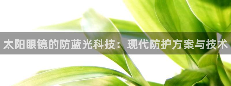 新宝5登录界面