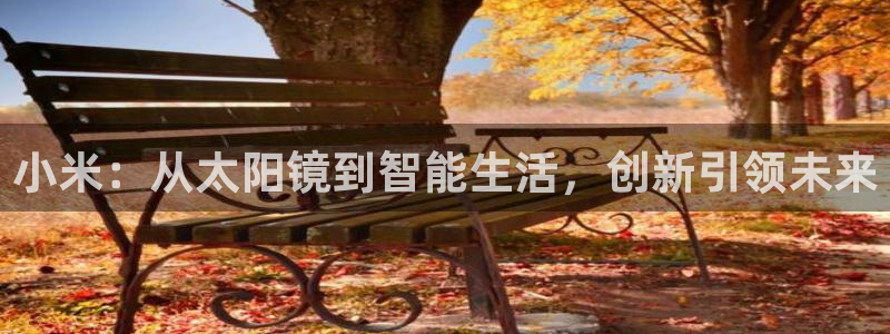 新宝5电脑登录网址