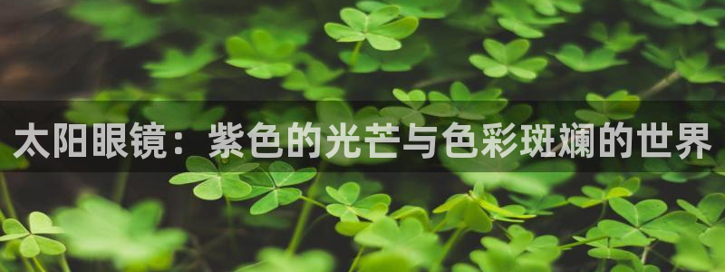 新宝5娱乐登陆