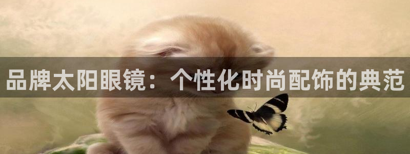 新宝5彩票平台登陆