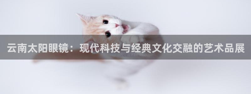 新宝5娱乐学