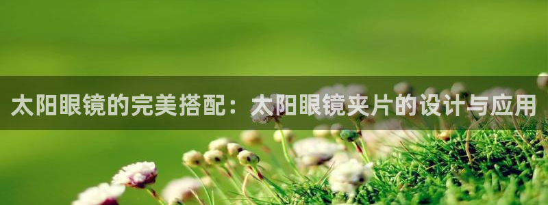 新宝5如何下载