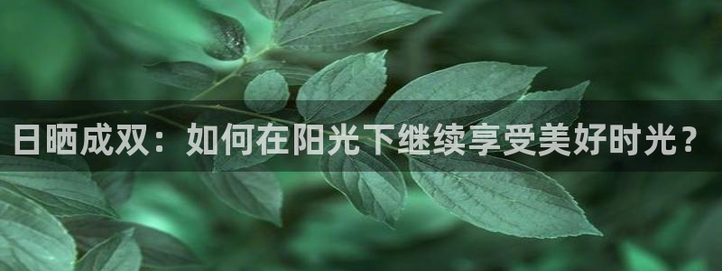 新宝5如何下载