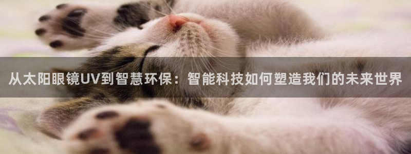 新宝5官网平台