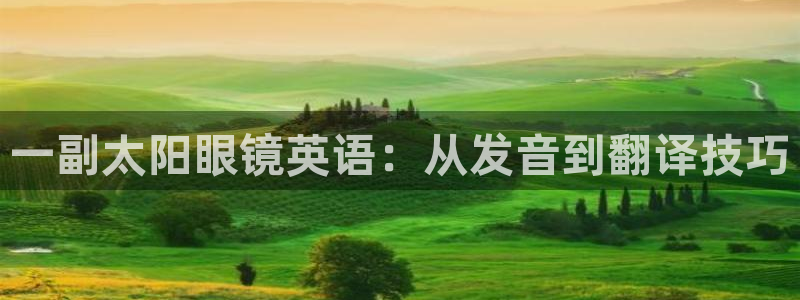 新宝5下载app