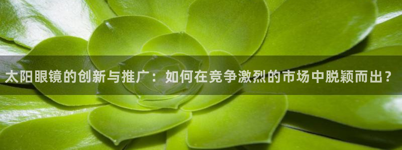 新宝5是什么样子的