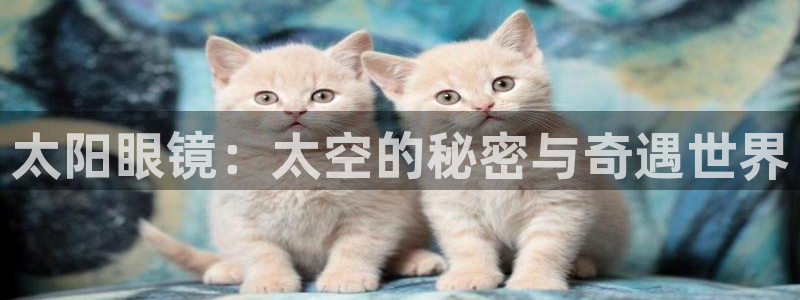 新宝5的网址