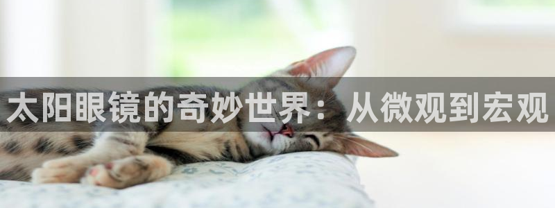 新宝5娱乐多