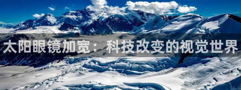 新宝5app手机下载