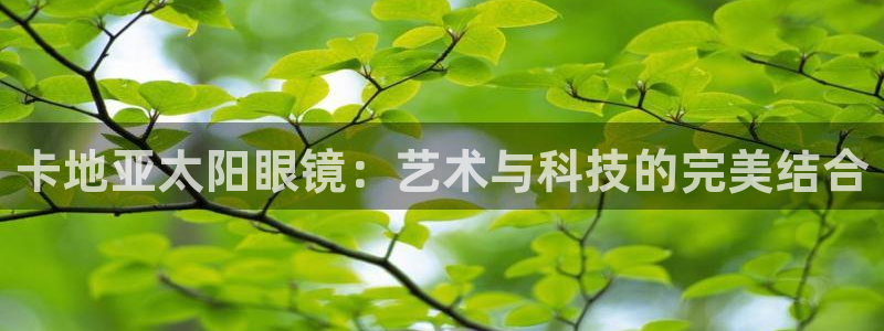 新宝5网站