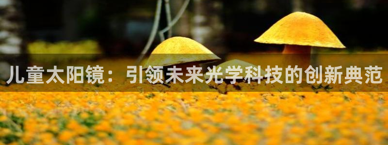 新宝5秒开