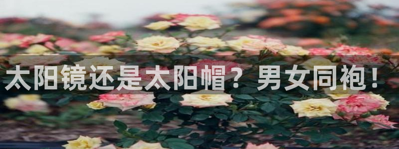 新宝5手机下载