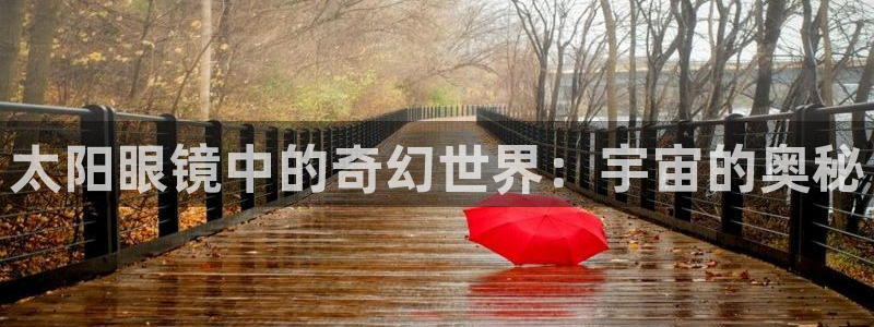 新宝那2O5O5O