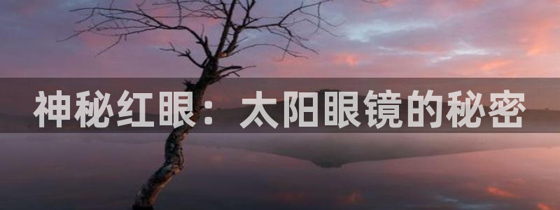 新宝5可靠吗