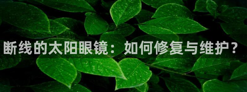 新宝h2O5O5O