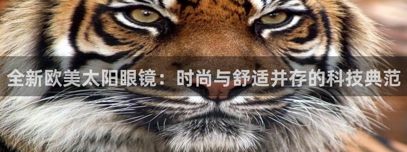 新宝5官网平台