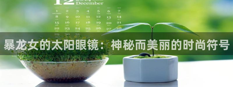 新宝5苹果手机下载