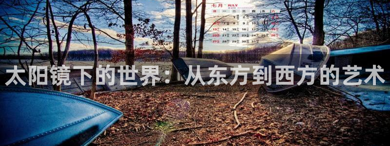 新宝股东王听2 5 5