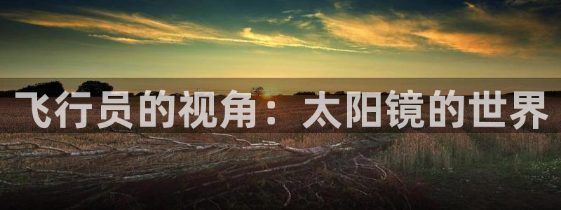 新宝5是什么样子的