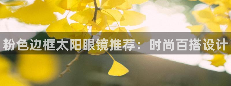 新宝股东张听2 5 5