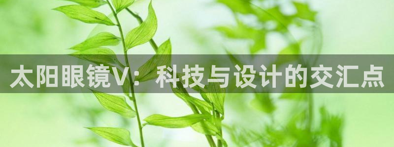 新宝5的网址