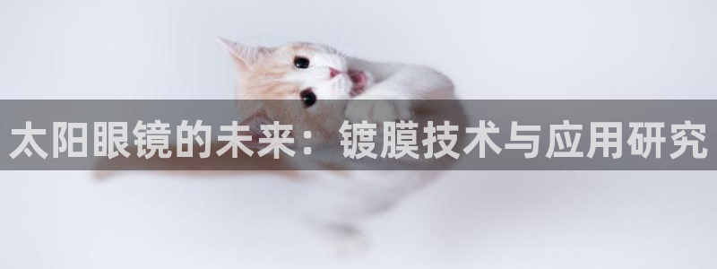 新宝股东瞧听2 5 5