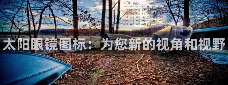 新宝5是什么样子的