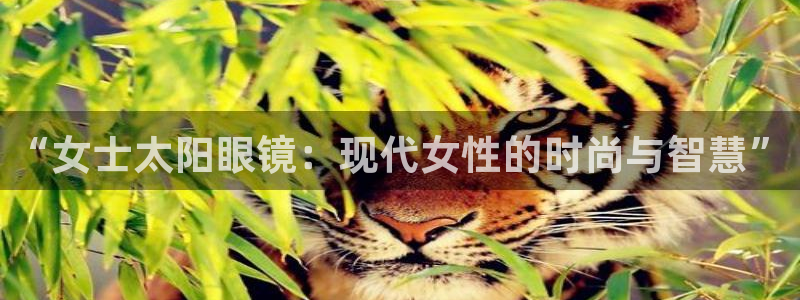 新宝5app手机下载