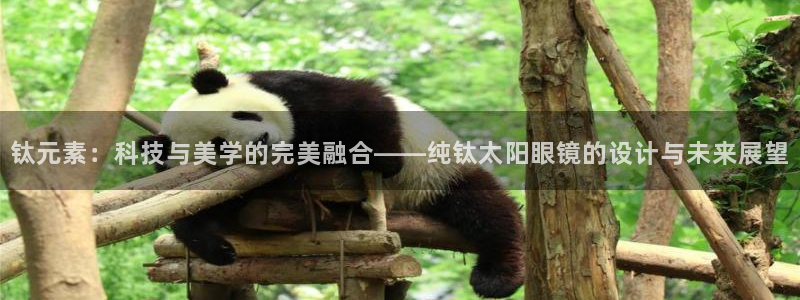 新宝5是什么样子的