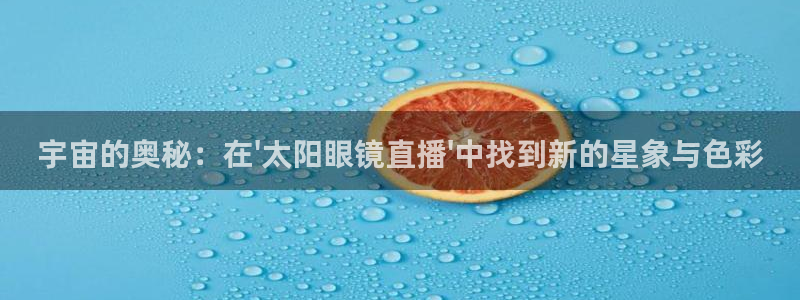 新宝5彩票娱乐平台