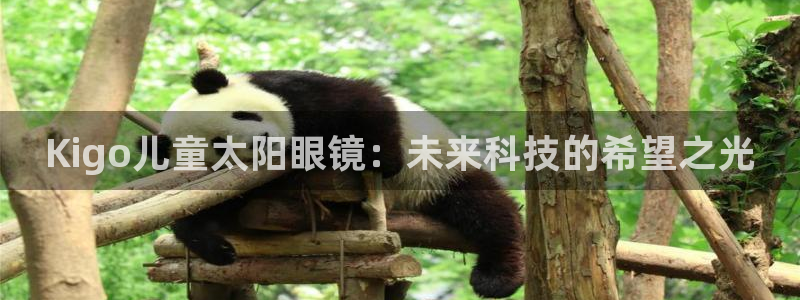 新宝娱乐5入口