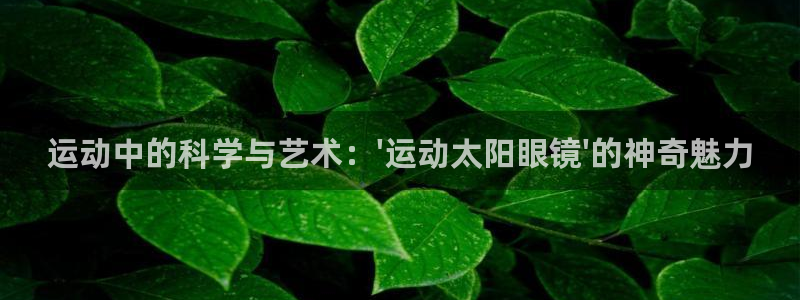 新宝5娱乐多